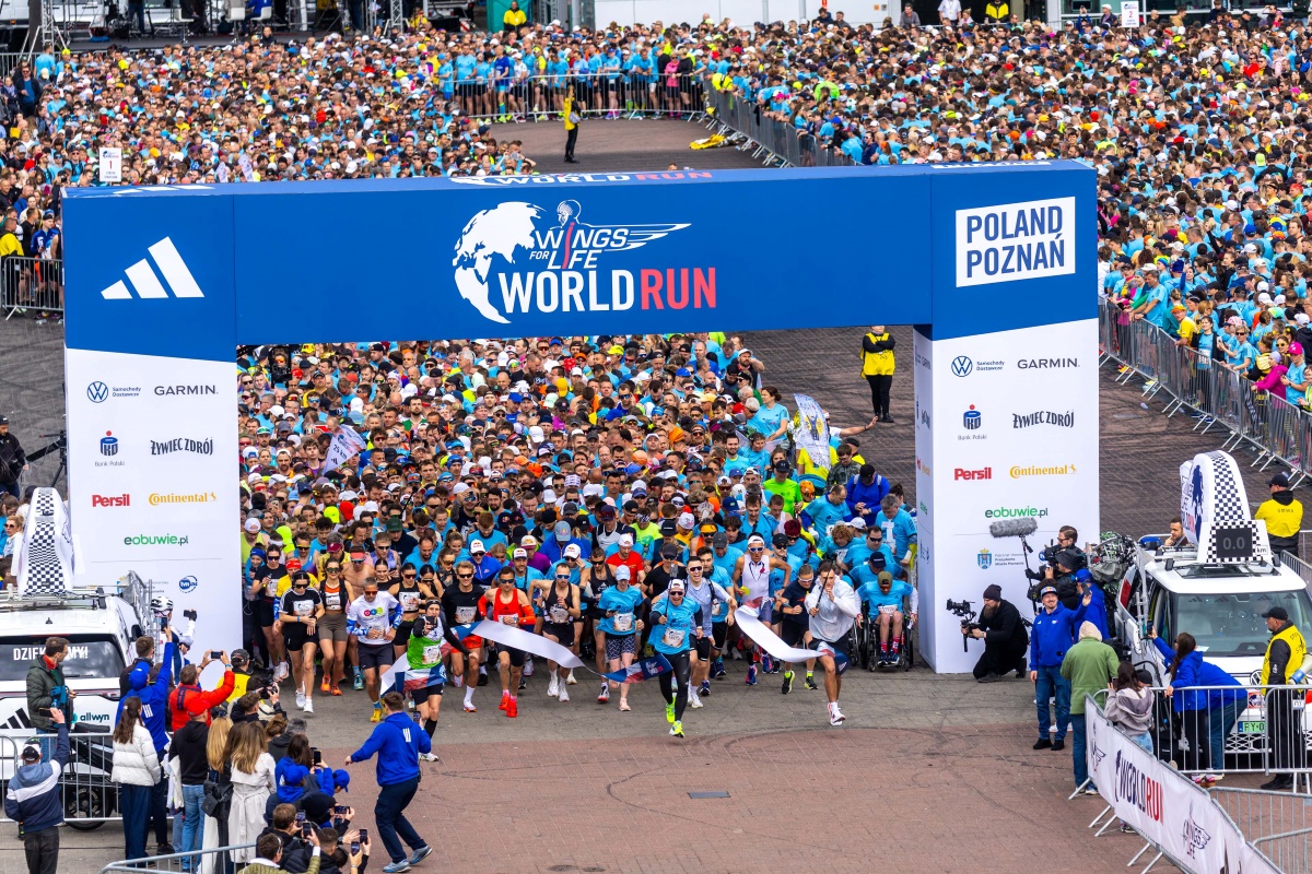 start-wings-4-life-poz